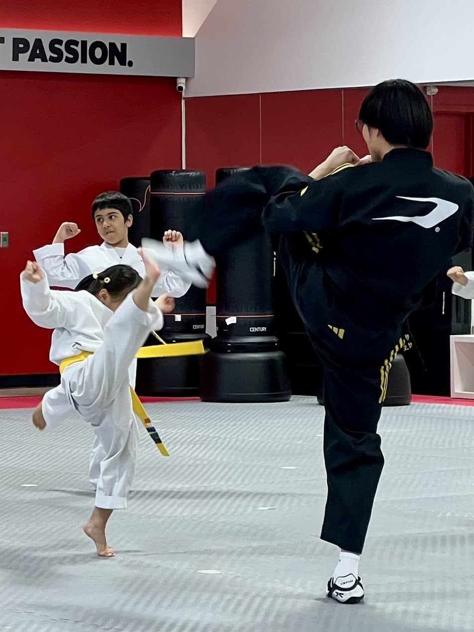 Martial arts